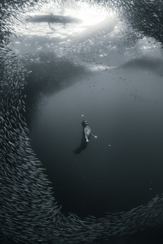 6568e07705bd45d4c354764daa8627f6825e0b00